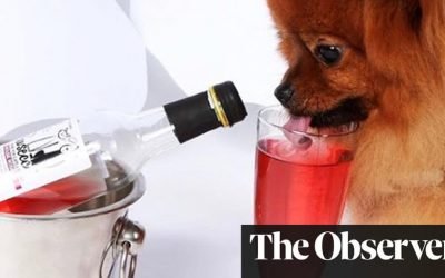Pawsecco, anyone? Millennials splurge on pampered pets