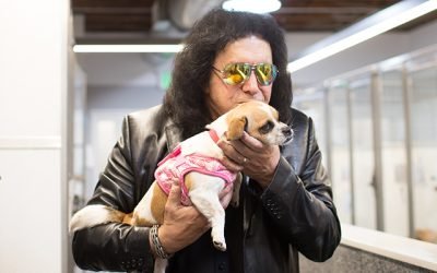 Shelter Pups Get A Big Surprise Thanks To iHeartDogs And Gene Simmons