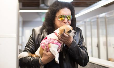Shelter Pups Get A Big Surprise Thanks To iHeartDogs And Gene Simmons