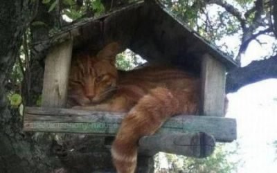 Did they leave a forwarding address?