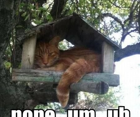 Did they leave a forwarding address?