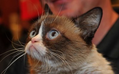 10 of the Richest Pets in History