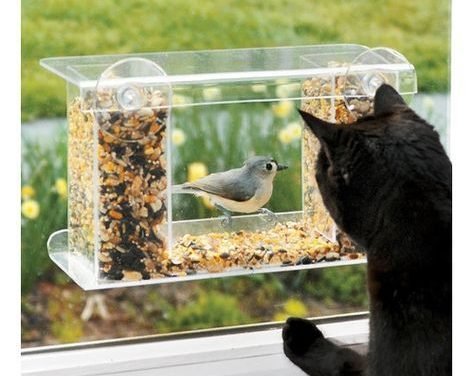 Found it at Wayfair – Window-Mount See-Through Tray Bird Feeder