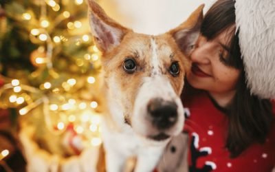 Holiday Grief: 5 Steps For Getting Through The Loss of a Pet