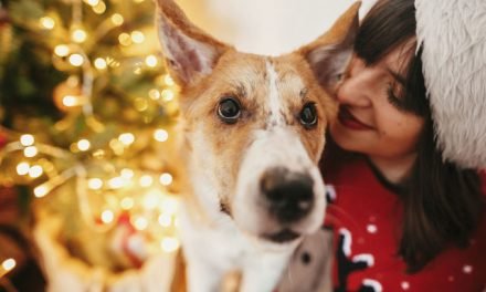 Holiday Grief: 5 Steps For Getting Through The Loss of a Pet