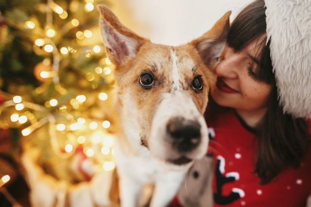 Holiday Grief: 5 Steps For Getting Through The Loss of a Pet