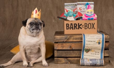 I tried BarkBox to find out what dog owners like about it, and now I get why it has over 500,000 monthly subscribers