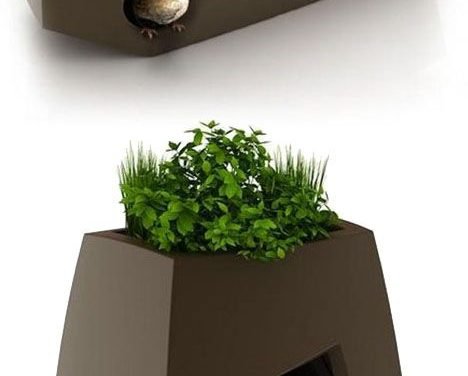 Love this idea!   Bird houses & dog houses in planters.