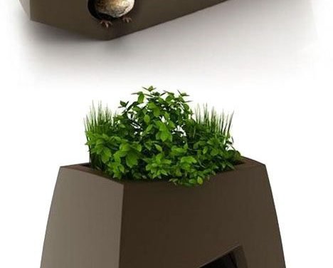 Pet Planters.  I wonder if I can get one big enough for a Giant German Shepherd…