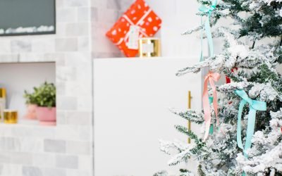 Gifts for Pets (and Pet Parents!)