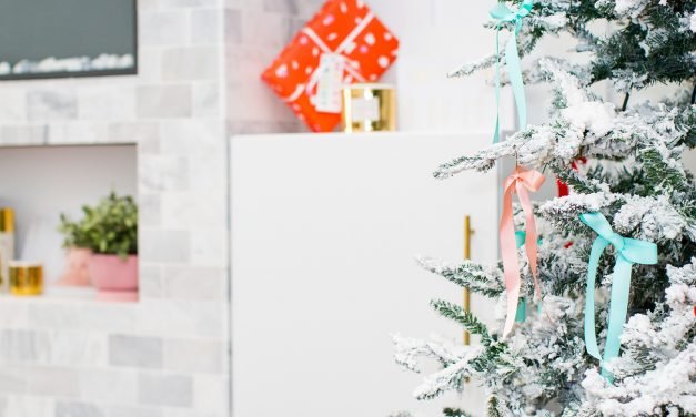 Gifts for Pets (and Pet Parents!)