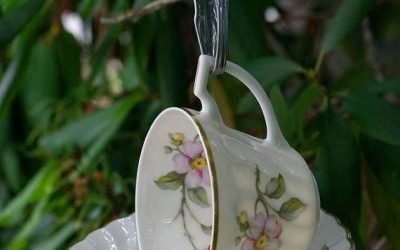 vintage tea cup bird feeder #gardening art, #gardening for beginners, gardening party, gardening plans #animals #goat #sheep #dogs #cats