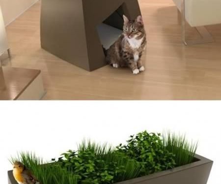 Jardin Chic is showing that pet friendly furniture can also be &ldquo;chic&rdquo;. Take a look at these planters with dual functions. They serve as