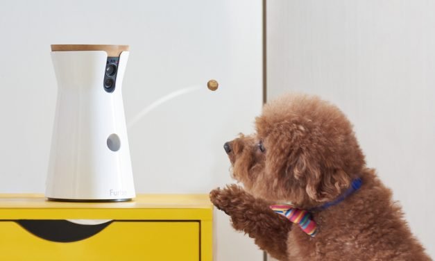 Sponsored: The best ways to spy on your dog or cat