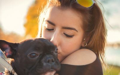 Sponsored: Millennials plan to spend big on holiday gifts — for their pets