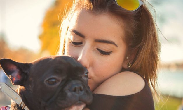 Sponsored: Millennials plan to spend big on holiday gifts &mdash; for their pets