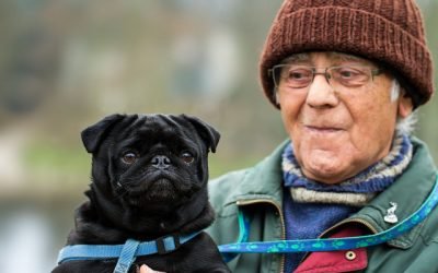 8 Dog Breeds Perfect For Seniors