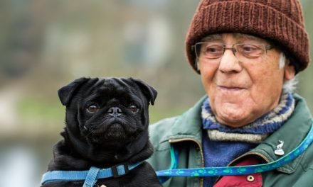 8 Dog Breeds Perfect For Seniors