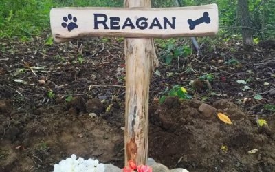 Pet Grave Marker Dog Cat Etc. by SmittysBoysHardWoods on Etsy