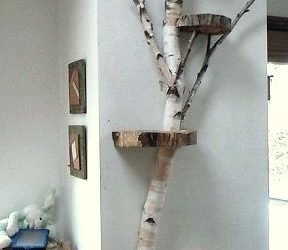 Dishfunctional Designs: Cool Cat Houses For Cool Cats – DIY Cat Houses