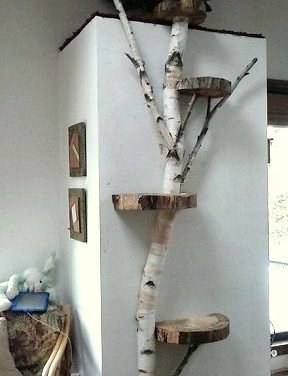 Dishfunctional Designs: Cool Cat Houses For Cool Cats – DIY Cat Houses