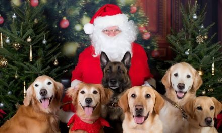 8 Pro Tips for Getting Your Pet to Pose With Santa