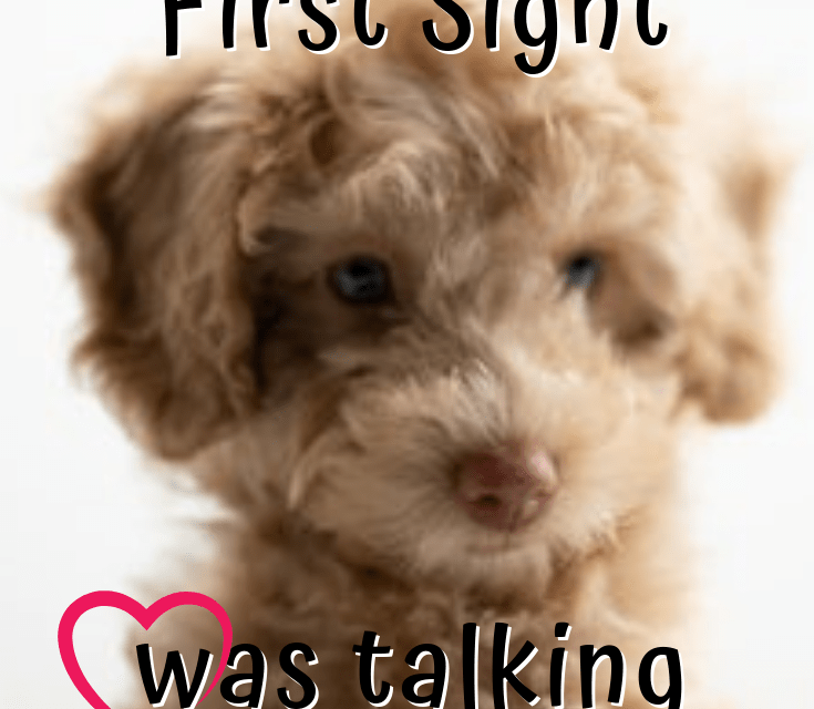 ? ? Dog Quotes & Dog Products here
