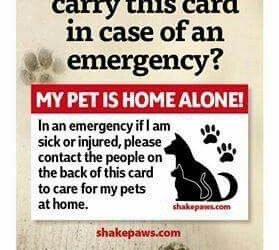 If I was single and my animals unattended, you bet I would carry a card like this – My Pet is Home Alone emergency card – I also have an