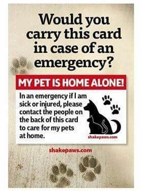 If I was single and my animals unattended, you bet I would carry a card like this – My Pet is Home Alone emergency card – I also have an