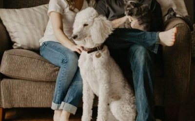 Pets Are Going Digital: Brands Pioneering In The $565M Market For Smart Pet Products