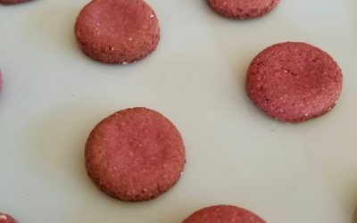 Beet Bunny Cookies /Rabbit Treats/ Pet Bunny Treats/ Pet Rabbit Food/ Pet Rabbit Christmas Gift/Small Animal Treats/Health Treats/Very Yummy