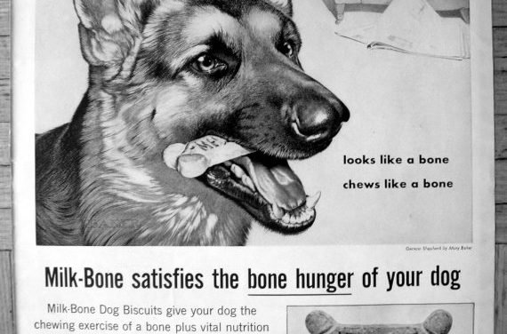 1959 German Shepherd – Milk Bone Dog Biscuits Original 13.5 * 10.5 Magazine Ad