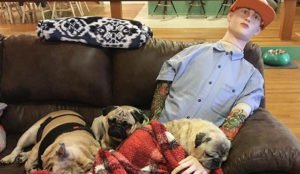 Doggy Retirement Home Finds A Hilarious Solution To Pup’s Separation Anxiety