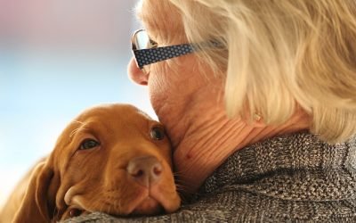 9 Things Only People Who Have Rescued A Dog Understand