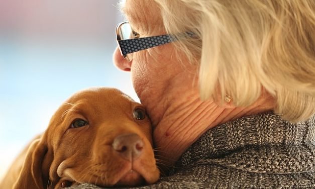 9 Things Only People Who Have Rescued A Dog Understand
