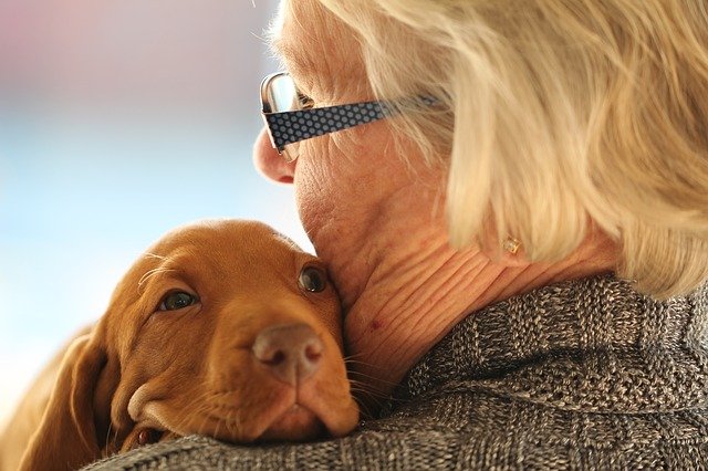 9 Things Only People Who Have Rescued A Dog Understand