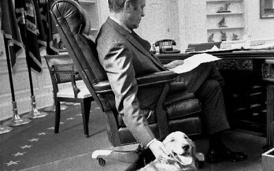 10 Fun Dog Names for the US Presidents&rsquo; Dogs