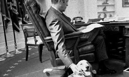 10 Fun Dog Names for the US Presidents’ Dogs