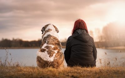 This Is What You Must Know About The Rainbow Bridge