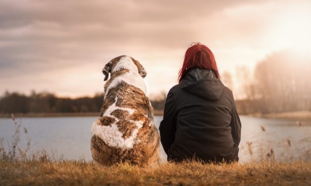 This Is What You Must Know About The Rainbow Bridge