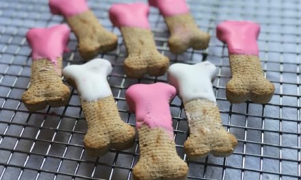 Recipe: Simple Dipped Valentine’s Day Treats for Dogs