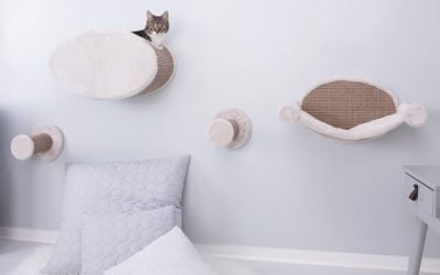 15 Interior Designs for Pet Lovers