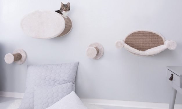 15 Interior Designs for Pet Lovers