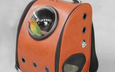 Are You a Bird Lover? Or Know someone who is? Then you need so checkout our beautiful Portable Outdoor Bird Carrier Backpack Designed to
