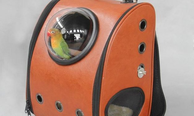 Are You a Bird Lover? Or Know someone who is? Then you need so checkout our beautiful Portable Outdoor Bird Carrier Backpack Designed to