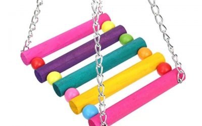 Giocattoli per pappagalli Ponte in legno colorato #cane #gatto #cuccia #cats #dog #dogs #cat #wood #uccelli #giallo #pappagallo #bird