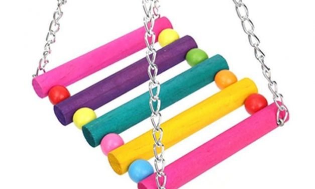 Giocattoli per pappagalli  Ponte in legno colorato     #cane #gatto #cuccia #cats #dog #dogs #cat #wood #uccelli #giallo #pappagallo #bird
