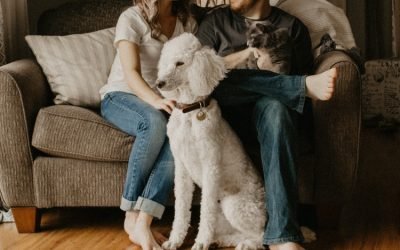 Balancing Your Lifestyle With Your Pet