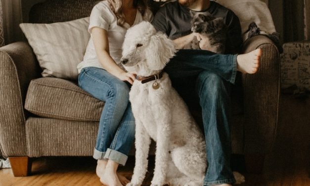 Balancing Your Lifestyle With Your Pet