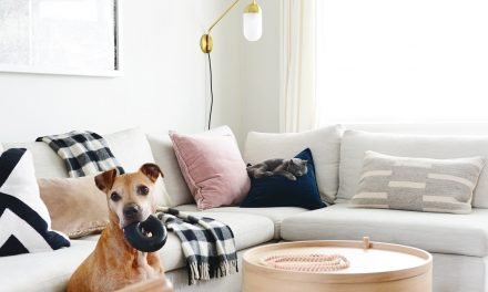 Pet Supplies That Actually Look Good In Your Home